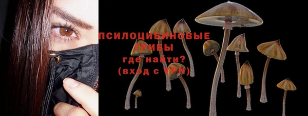 MESCALINE Осинники