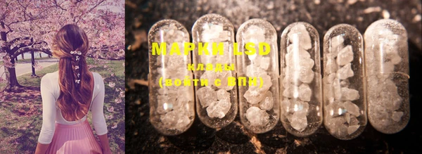MESCALINE Осинники
