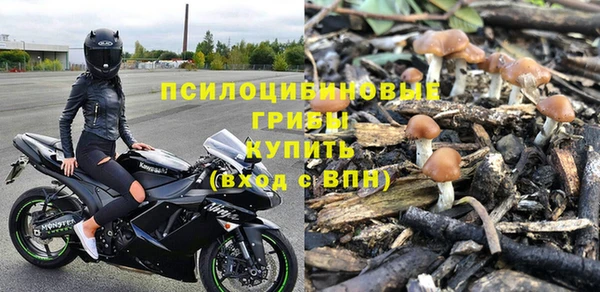 тгк Болхов