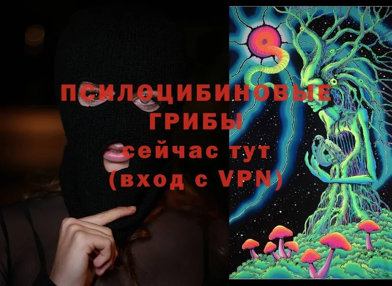 Галлюциногенные грибы MAGIC MUSHROOMS  blacksprut зеркало  Белёв 